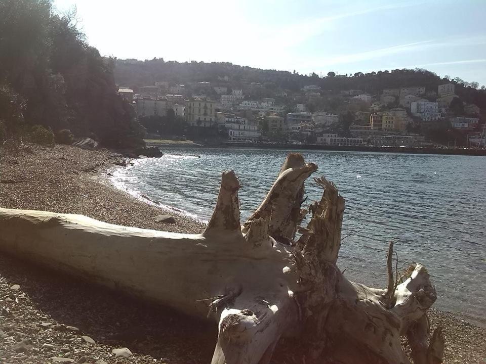Bed & Breakfast Kirillos In Cilento 2*